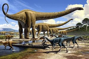 На будівництві в Китаї знайшли скелети динозаврів